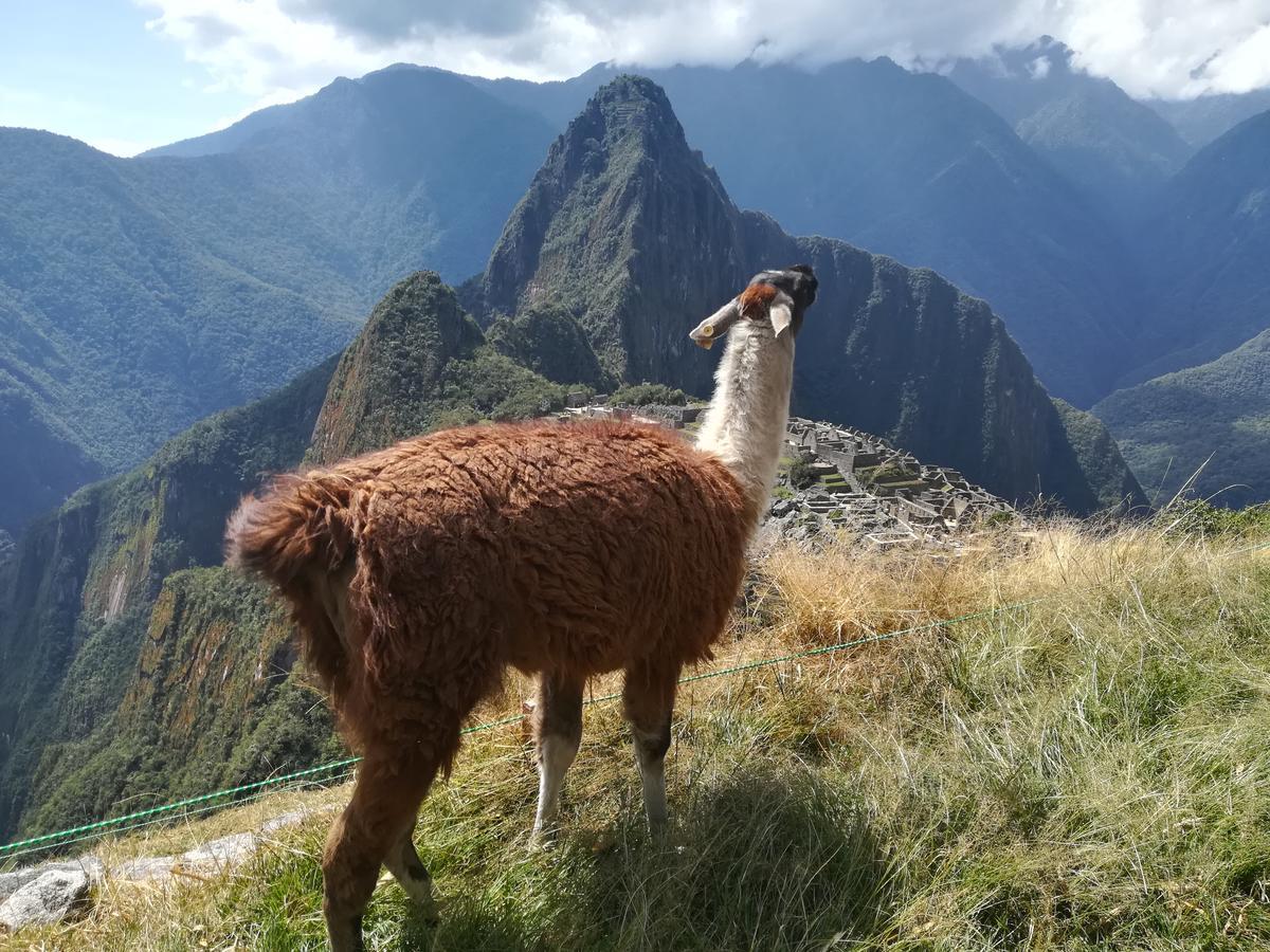 Golden Sunrise Machupicchu Hotel Eksteriør billede
